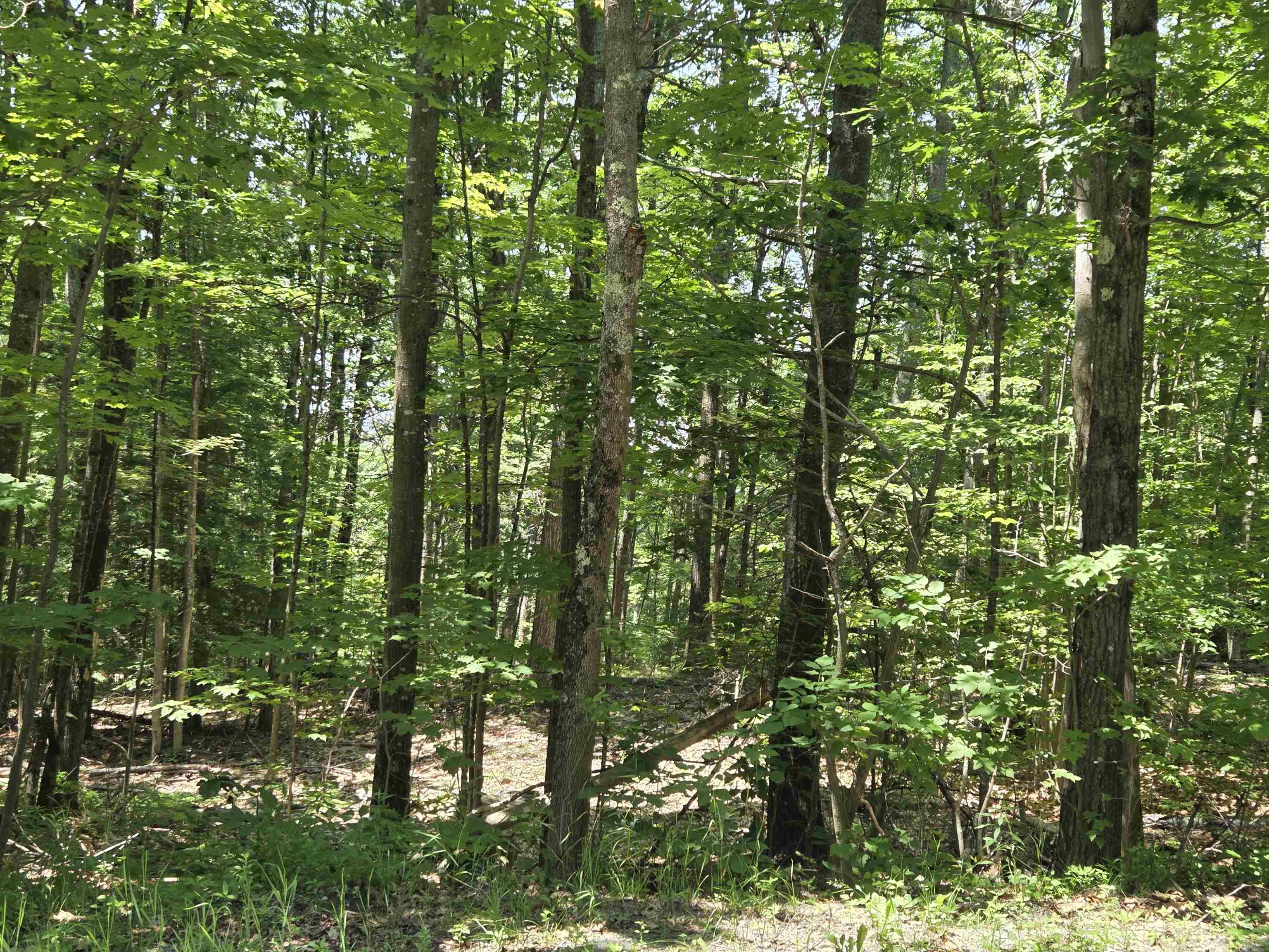 X Methodist Hill Road Enfield, NH 03748 - Photo 5 of 6
