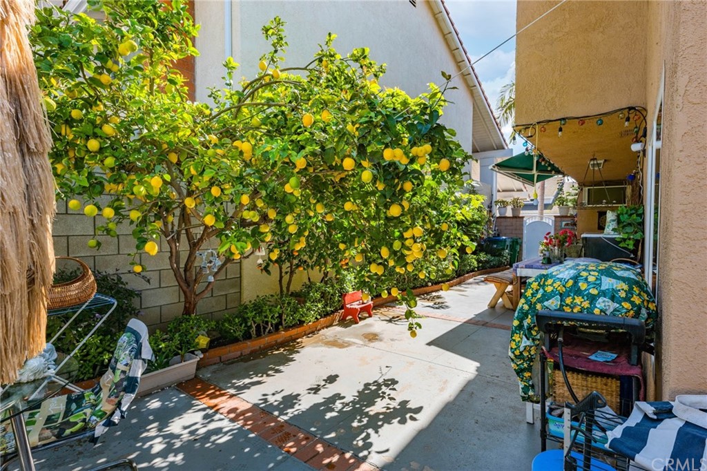 15 Calandria Irvine, CA 92620 - Photo 37 of 49