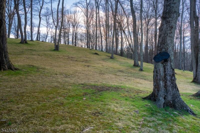 30 Buttzville Road Oxford, NJ 07863 - Photo 6 of 32