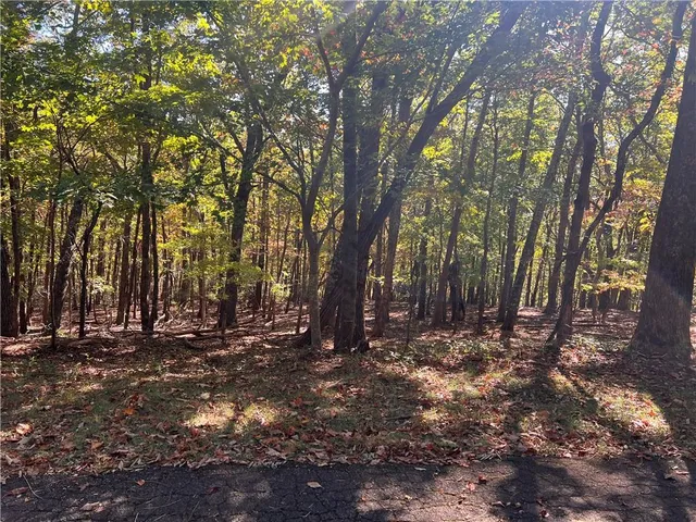 a view of outdoor space with trees