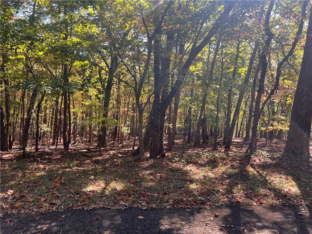 a view of outdoor space with trees