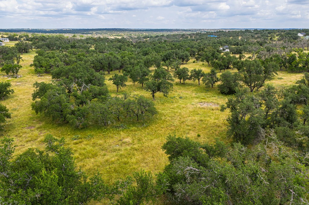 Lot 33 Nott Branch Road, Unit 33 Harper, TX 78631 - Photo 6 of 11
