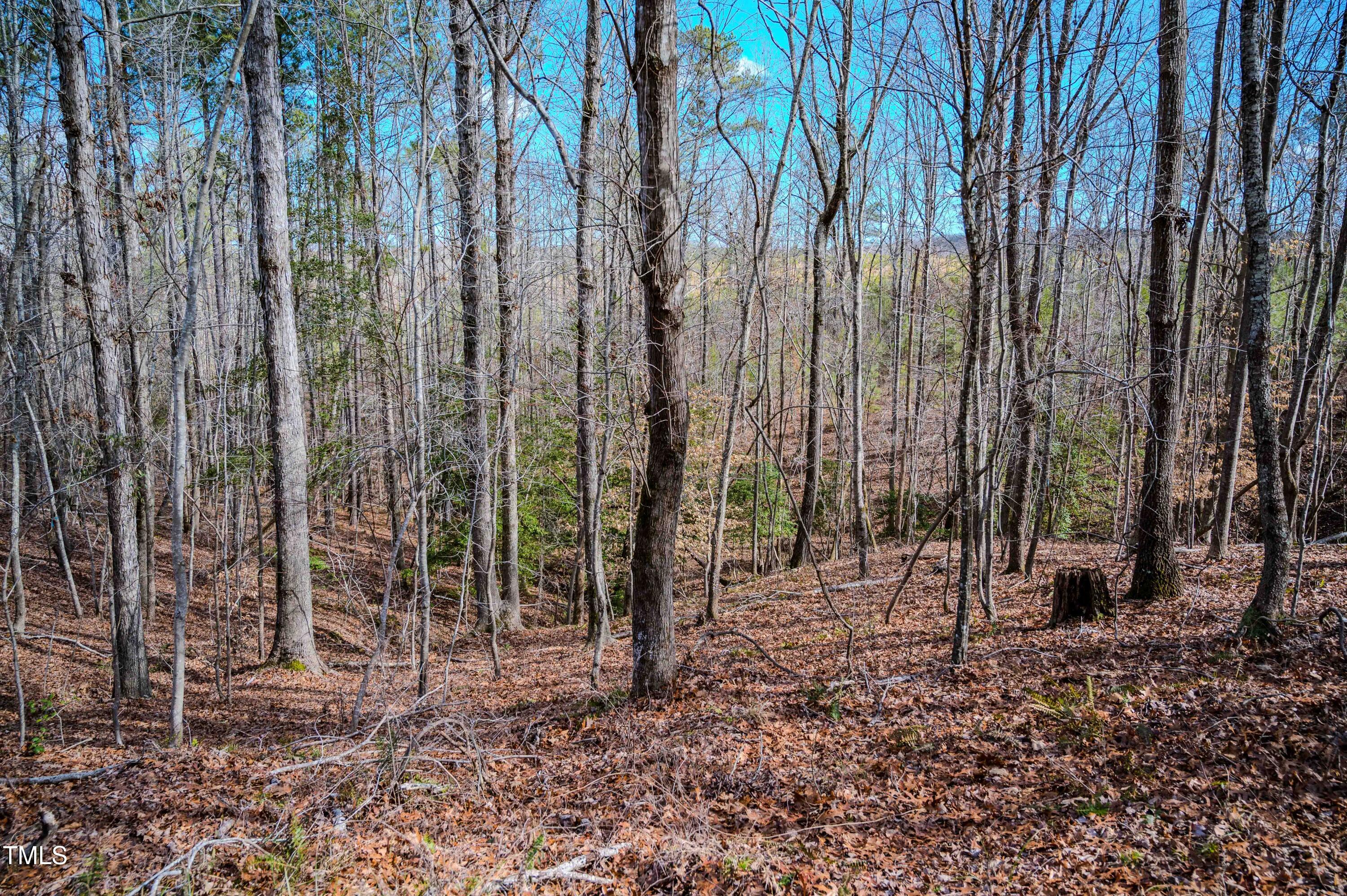 0 Hicks Road Broadway, NC 27505 - Photo 20 of 29 31.06ac - Harnett Co. (18)