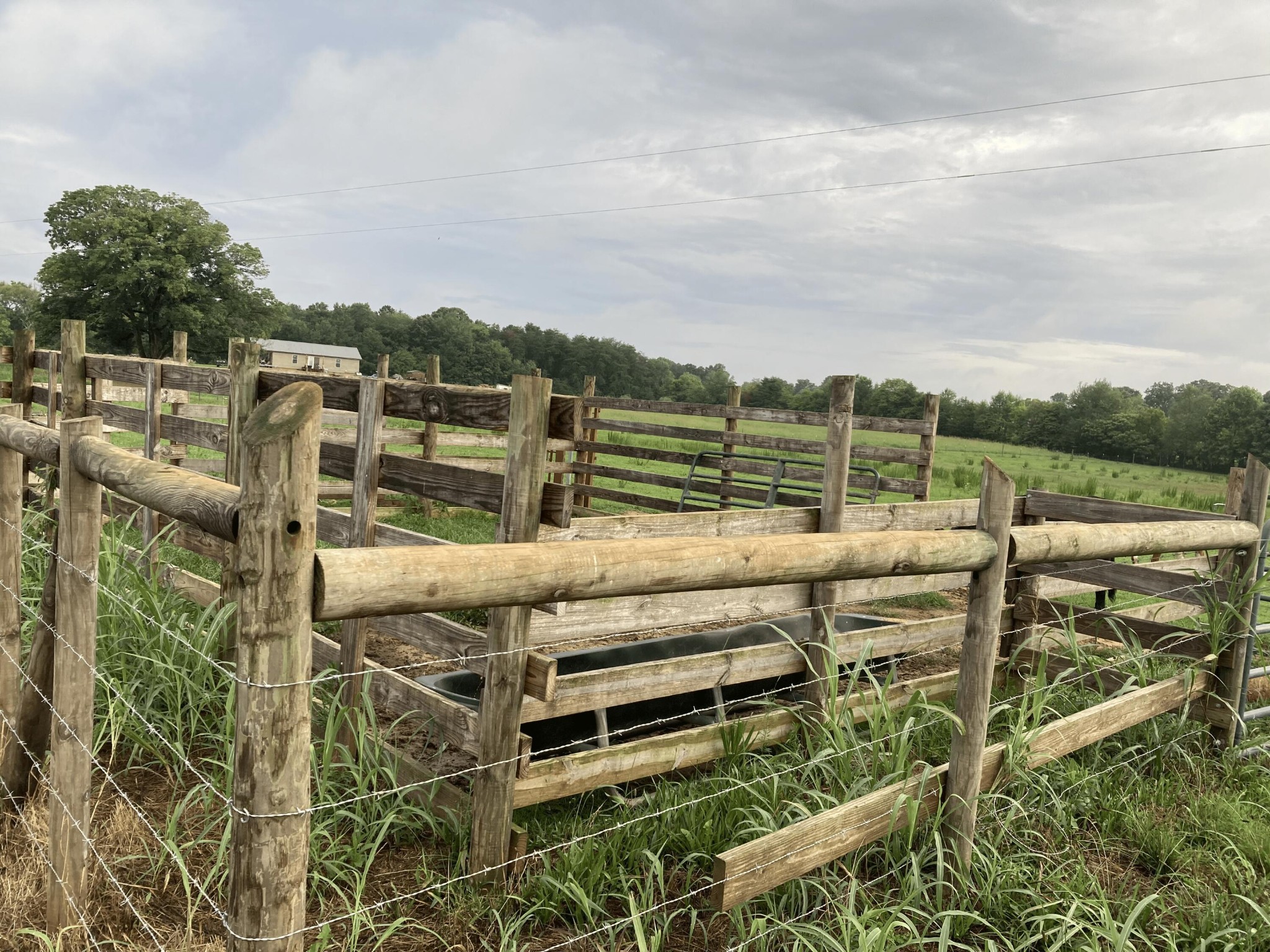 0 Swan Road Old Fort, TN 37362 - Photo 11 of 20