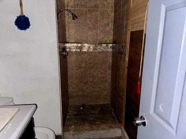 a bathroom with a shower and a sink