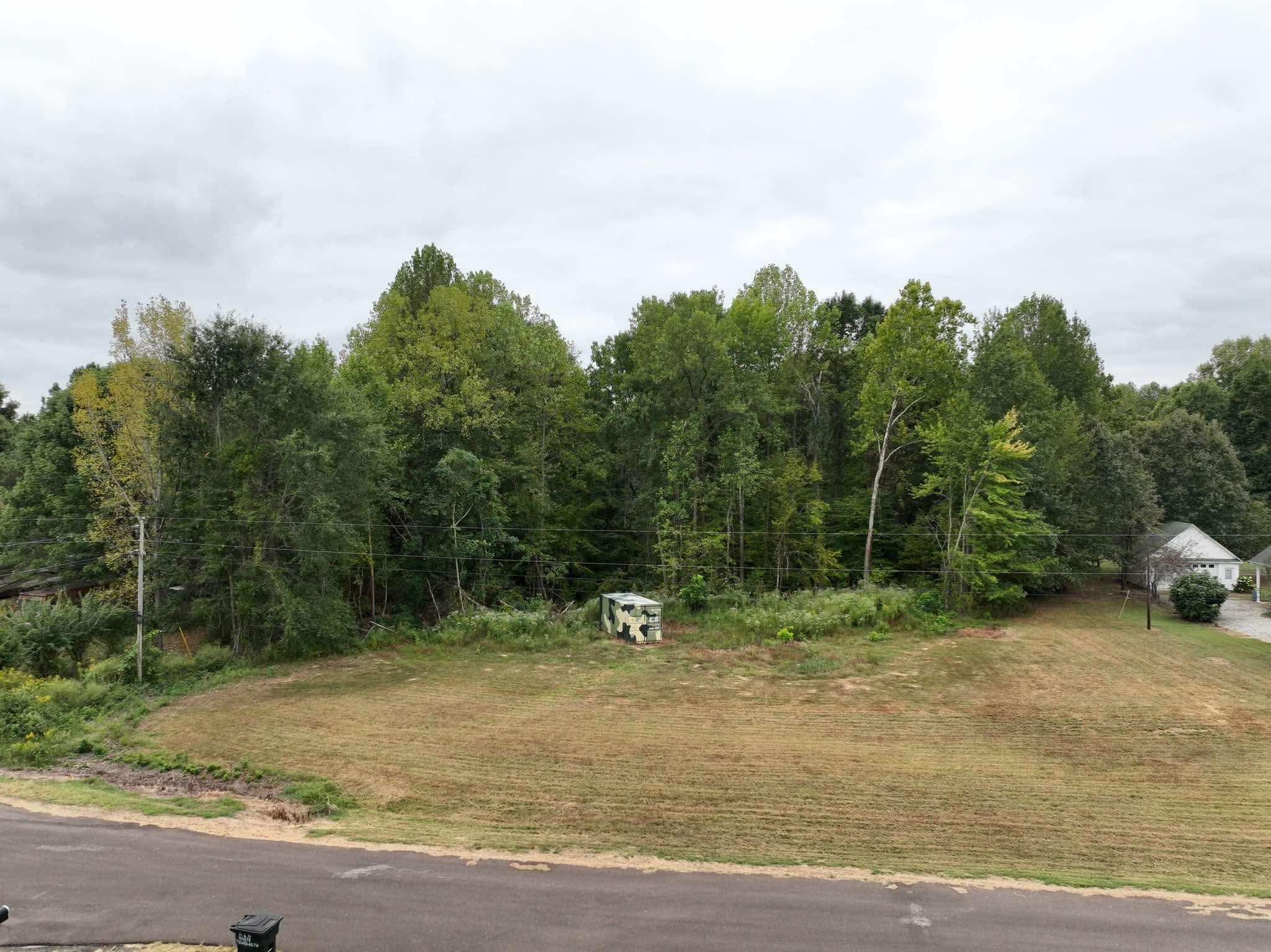 0 Bondurant Road Ripley, TN 38063 - Photo 4 of 4 Gallery Image 4