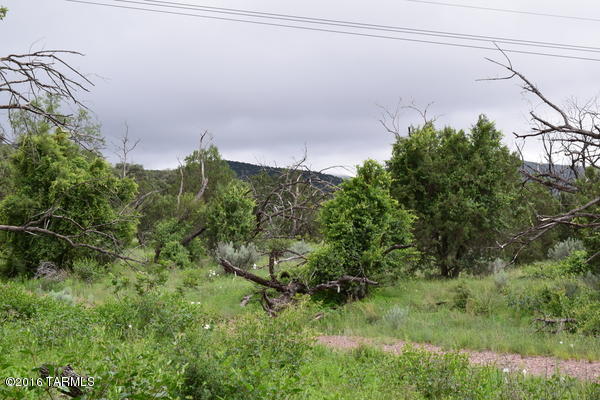 Umpire Ranch Road Elgin, AZ 85611 - Photo 10 of 27