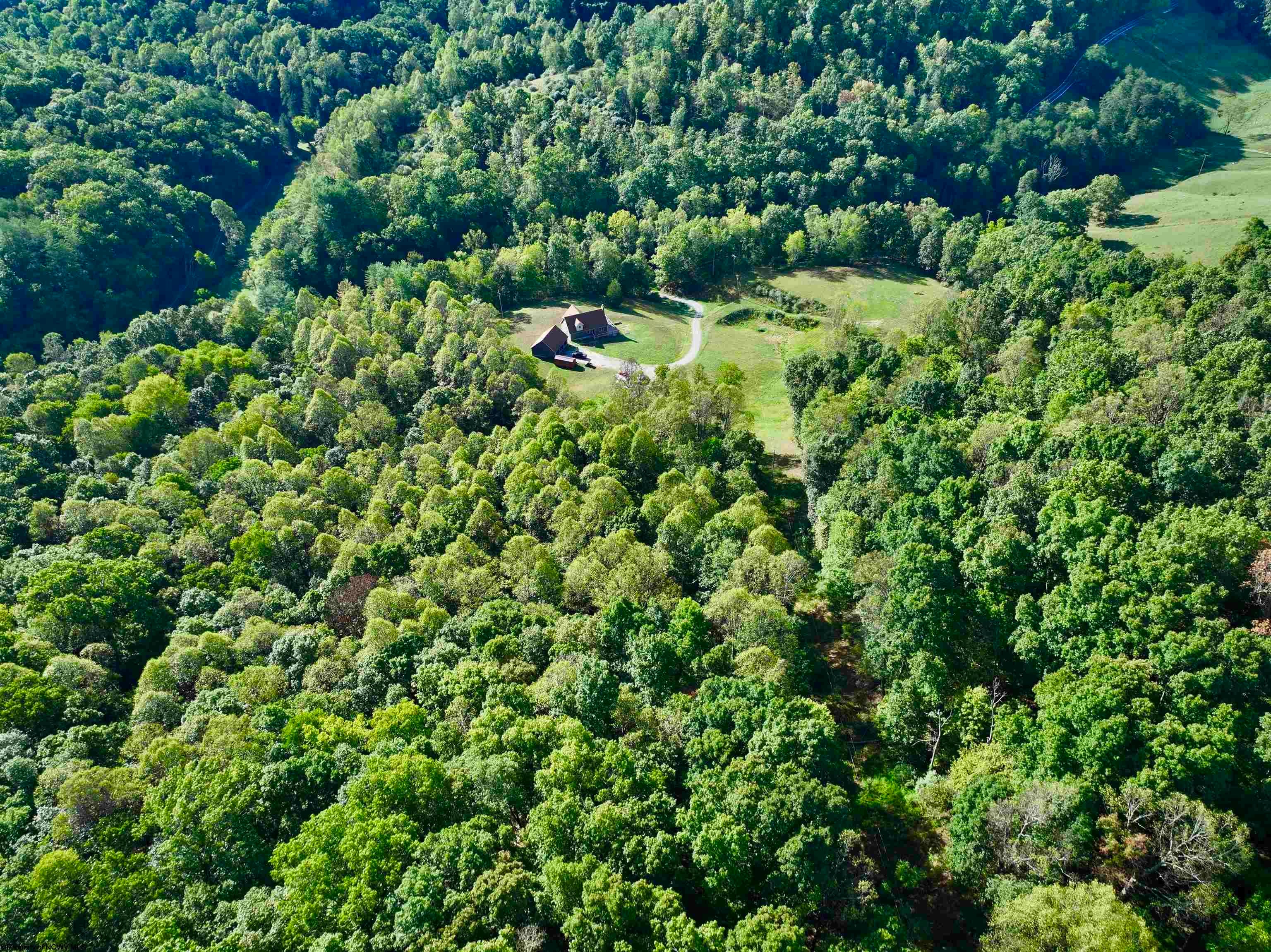 1899 Alice Road Coxs Mills, WV 26342 - Photo 24 of 50 Gallery Image 24