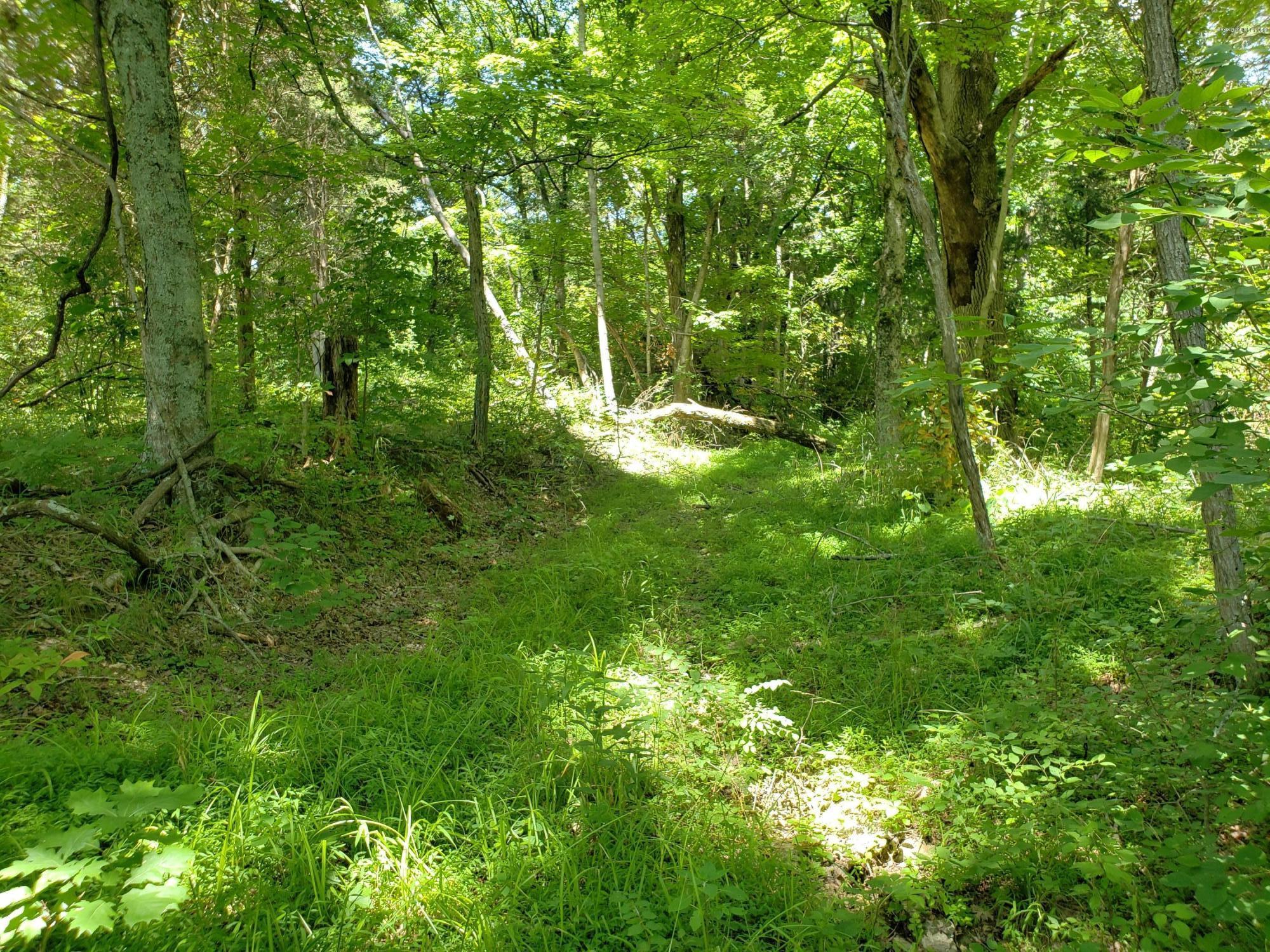 0 Barebone Road Bedford, KY 40006 - Photo 3 of 7 4