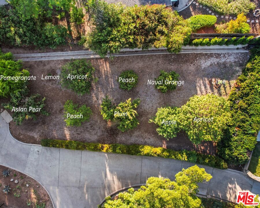 431 Montana Circle Ojai, CA 93023 - Photo 72 of 73 a view of a garden with flowers