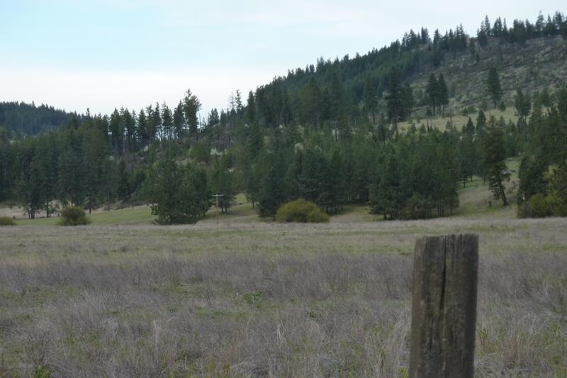 Xx Fisher Road East Reardan, WA 99029 - Photo 2 of 4 Gallery Image 2