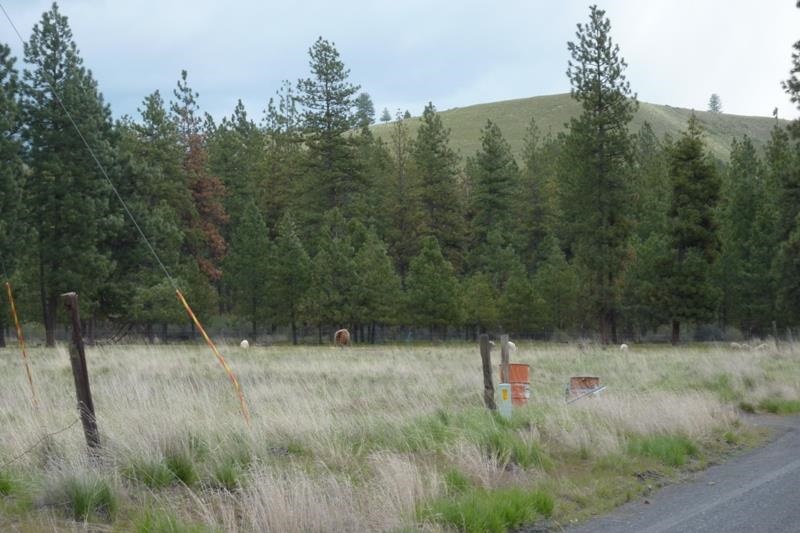Xx Fisher Road East Reardan, WA 99029 - Photo 3 of 4 Gallery Image 3