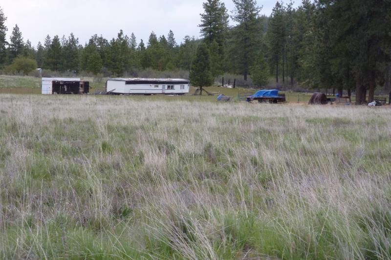 Xx Fisher Road East Reardan, WA 99029 - Photo 4 of 4 Gallery Image 4