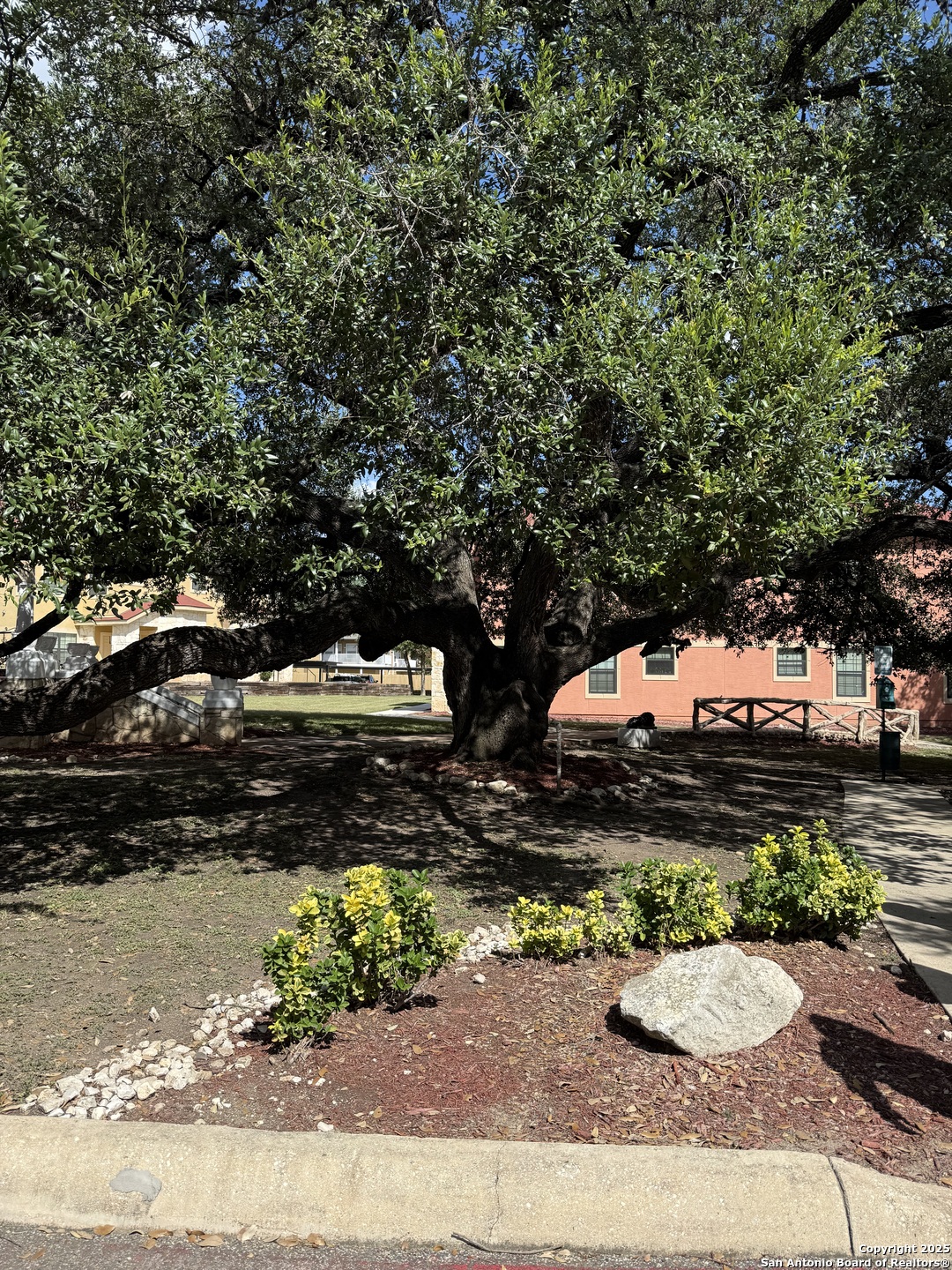 6160 Eckhert Road, Unit 204 San Antonio, TX 78240 - Photo 29 of 30 a view of a backyard with plants and trees