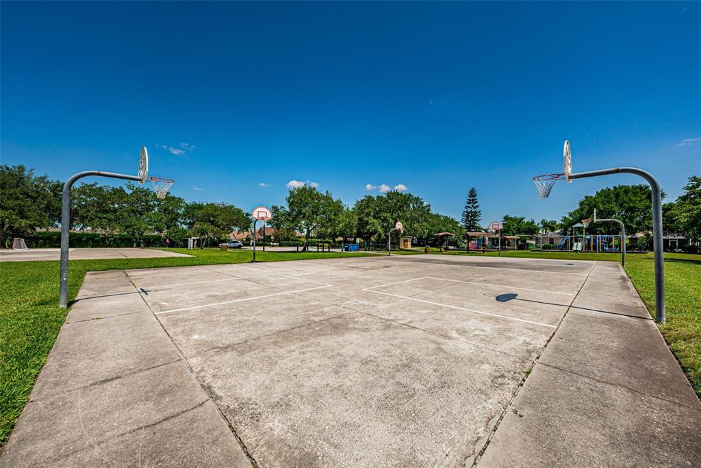1821 Alvara Place Trinity, FL 34655 - Photo 53 of 63
