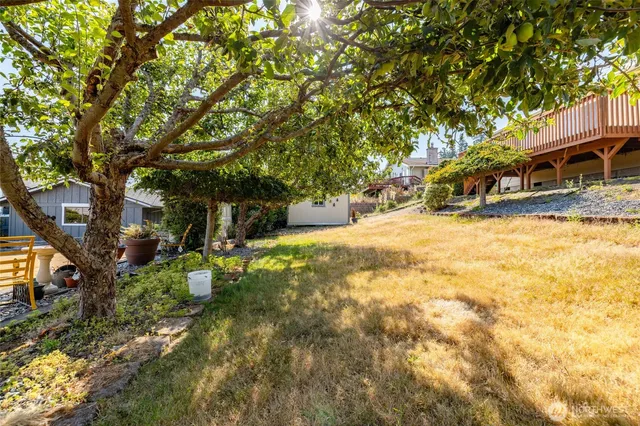 a view of a yard with plants and trees