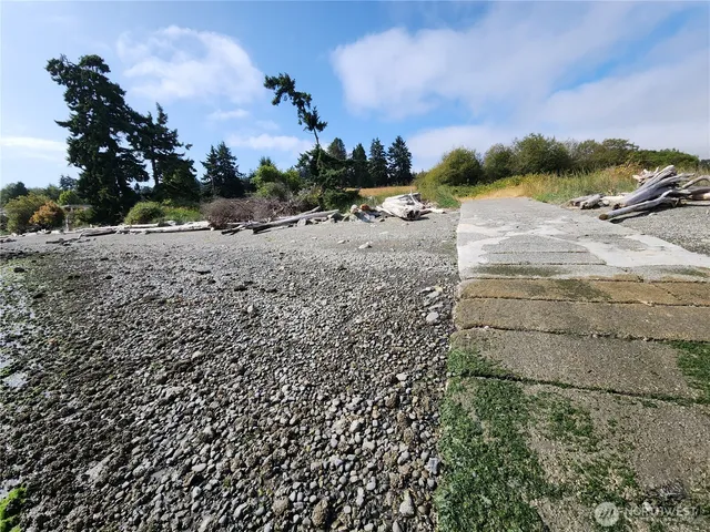 a view of ocean view with large trees