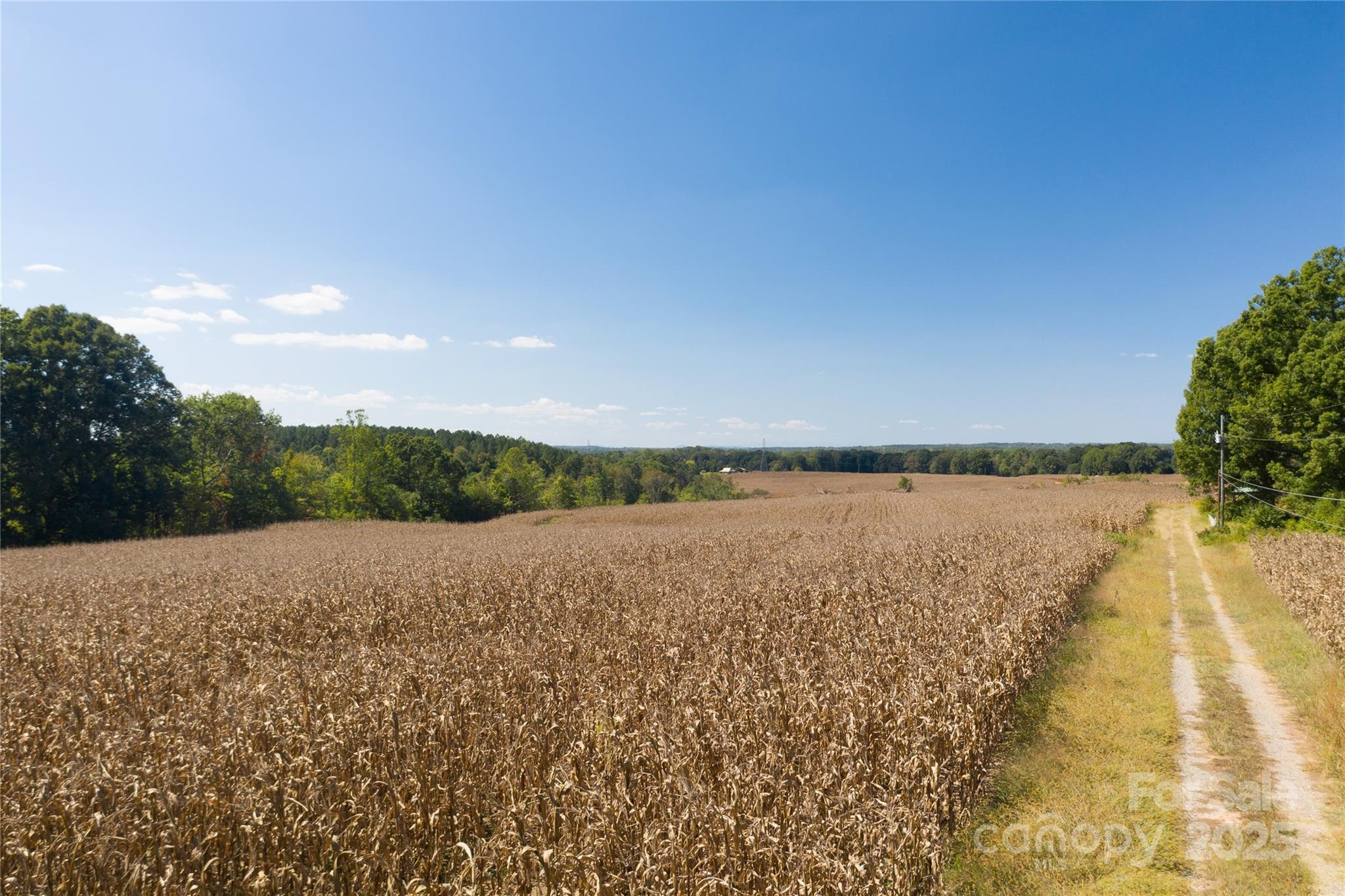 0 Carriage Road Statesville, NC 28677 - Photo 5 of 11 a view of lake
