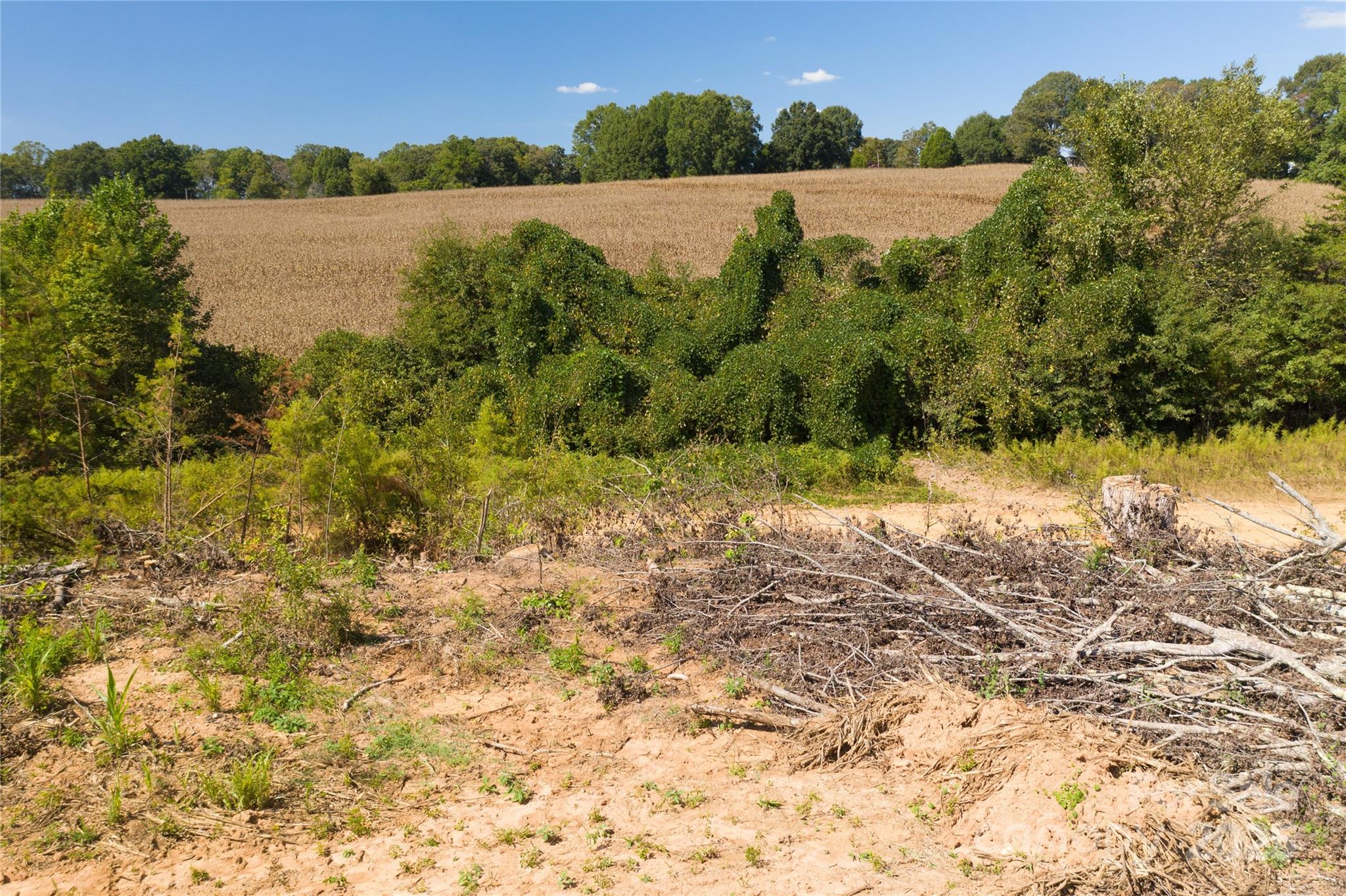 0 Carriage Road Statesville, NC 28677 - Photo 6 of 11 a view of lake