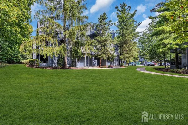 a huge green field with lots of trees