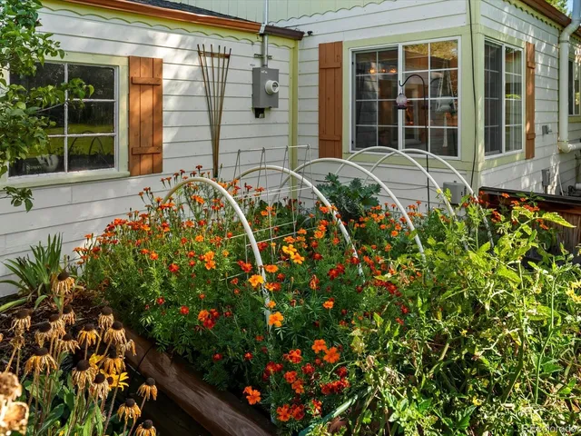 front view of a house