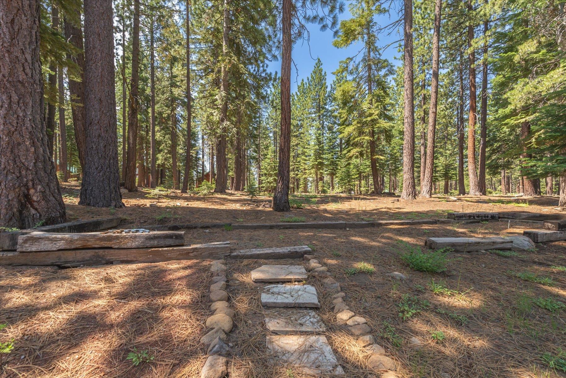 14265 Hansel Avenue Truckee, CA 96161 - Photo 18 of 21 a view of a yard with plants and trees