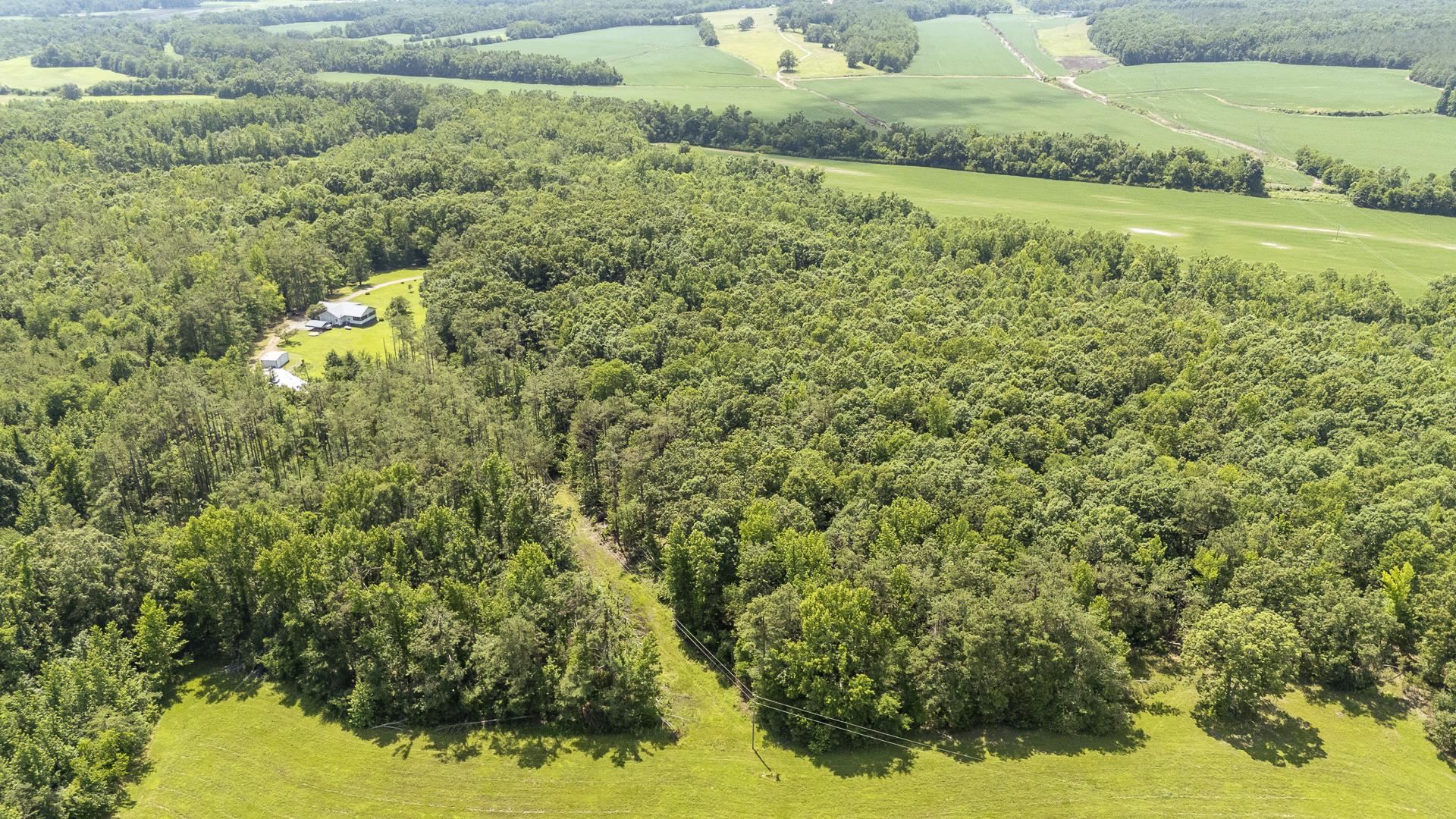 1640 Lick Creek Road Michie, TN 38357 - Photo 40 of 40