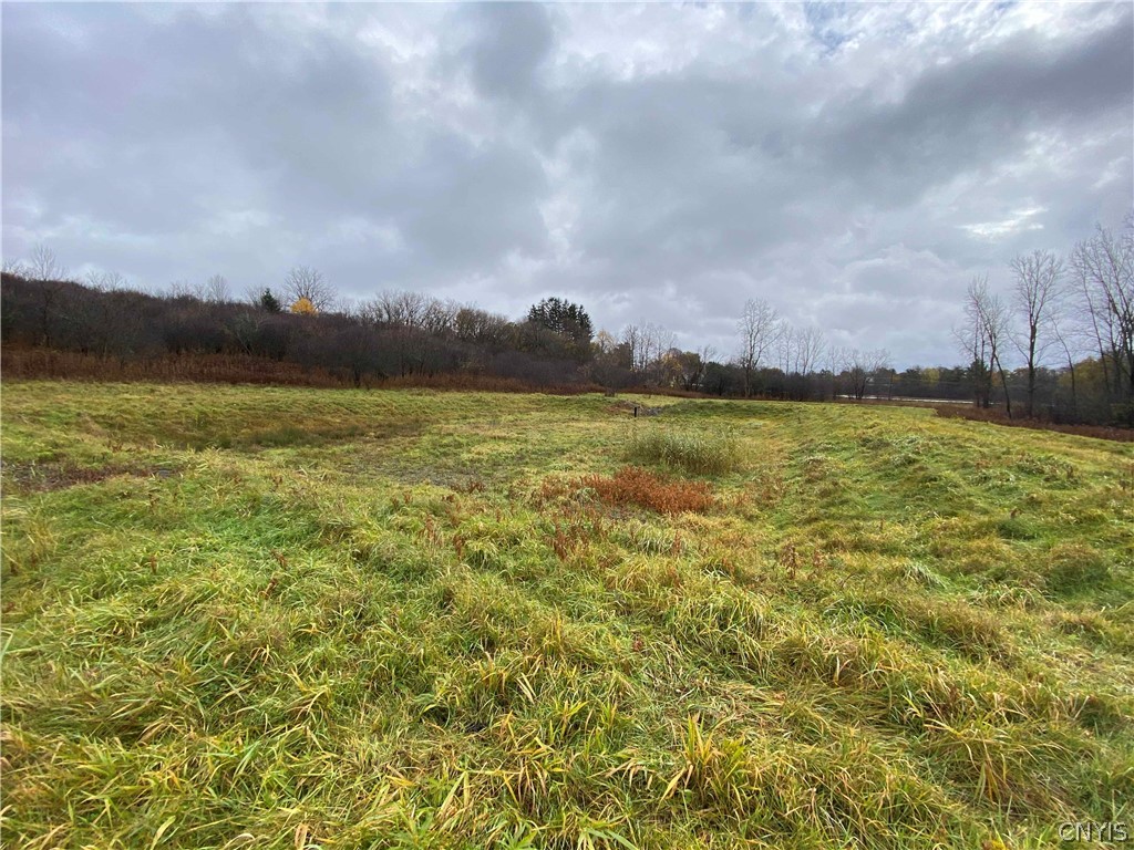 0 Barrington Way Auburn, NY 13021 - Photo 2 of 9