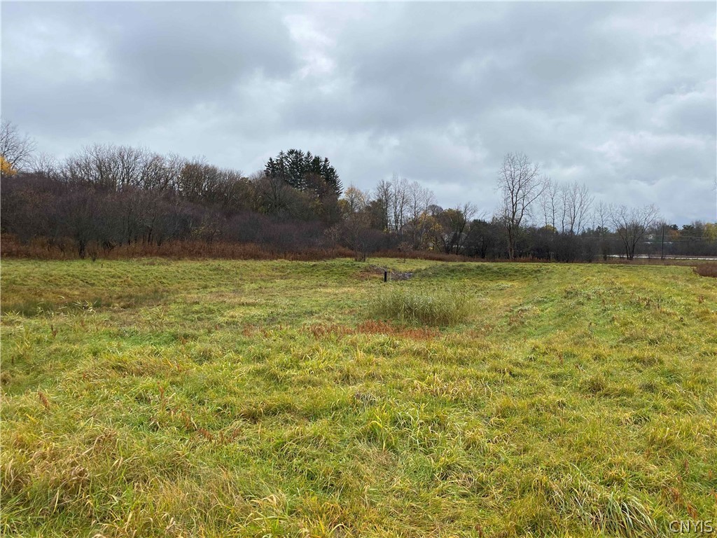 0 Barrington Way Auburn, NY 13021 - Photo 3 of 9