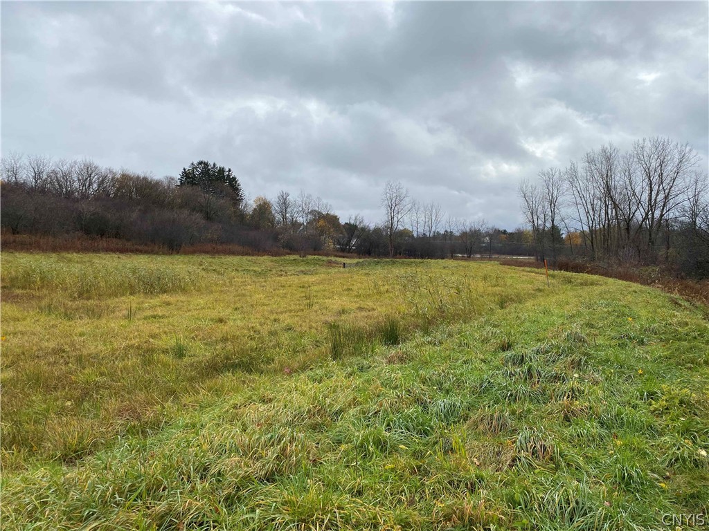 0 Barrington Way Auburn, NY 13021 - Photo 4 of 9