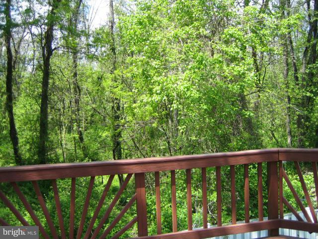 3217 Napper Road Alexandria, VA 22306 - Photo 27 of 28 Exterior (Rear)