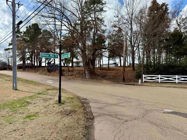a view of a yard with an trees