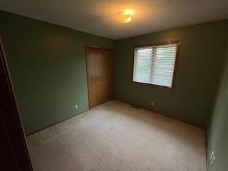 1450 6th Avenue Baldwin, WI 54002 - Photo 11 of 27