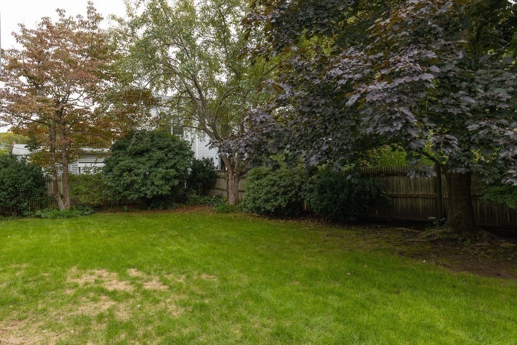 28 Standish Road Needham, MA 02492 - Photo 28 of 29 a view of a green yard