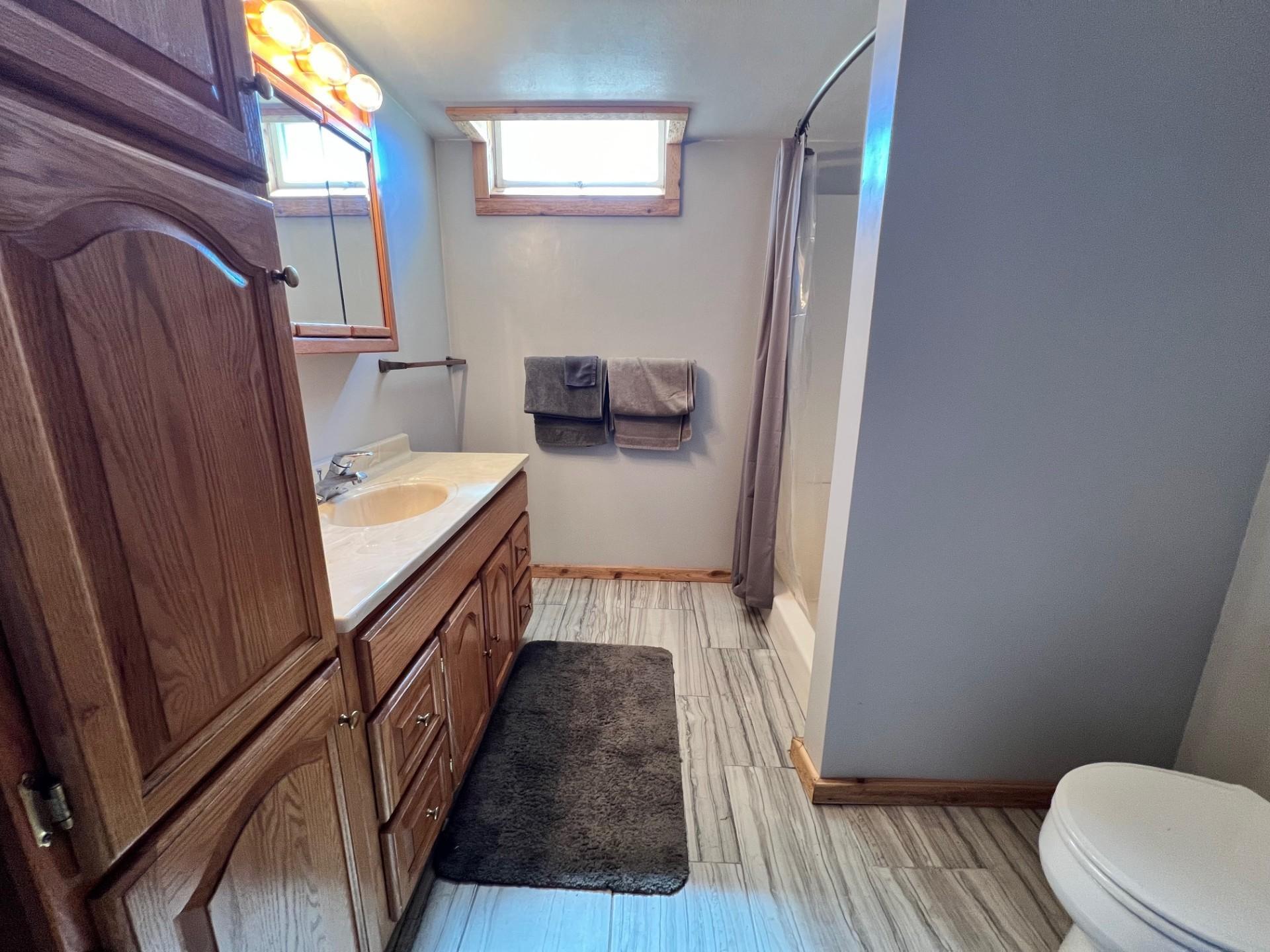 21620 Fin Trail Osakis, MN 56360 - Photo 29 of 39
