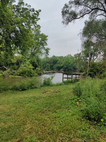 a view of a lake with a floor to palm trees
