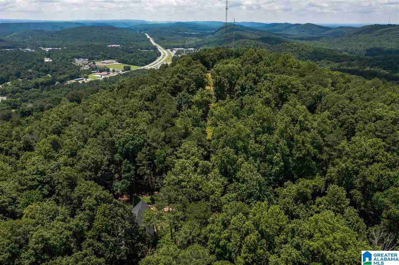 185 Mountain Drive Oneonta, AL 35121 - Photo 50 of 50
