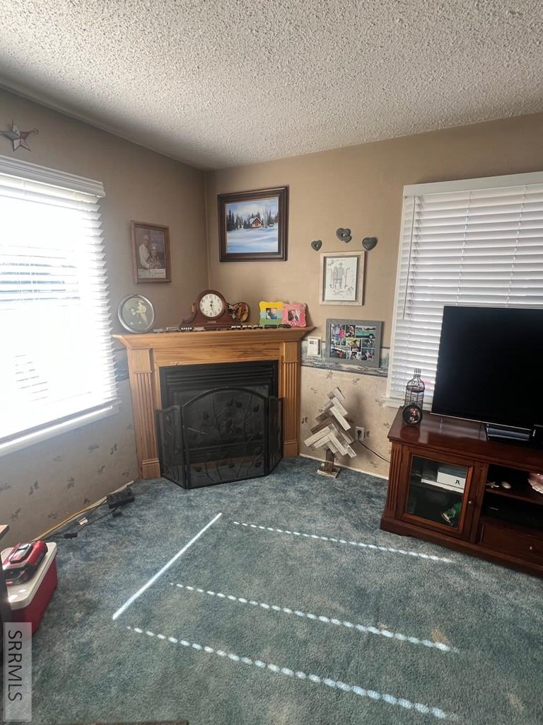 285 East Elm Street Shelley, ID 83274 - Photo 5 of 25