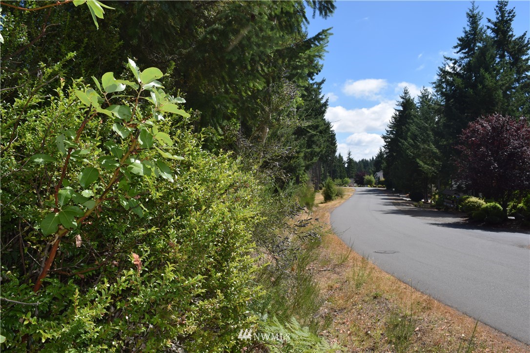 110 East Soderberg Road Allyn, WA 98524 - Photo 3 of 5
