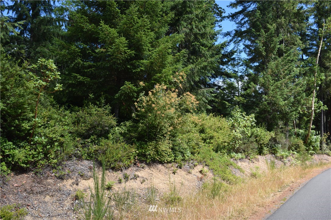 110 East Soderberg Road Allyn, WA 98524 - Photo 4 of 5