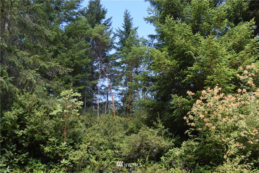 110 East Soderberg Road Allyn, WA 98524 - Photo 5 of 5