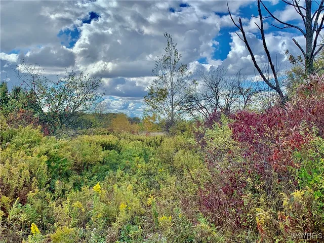 $70,000 | 11733 N Road, Freedom, NY 14065