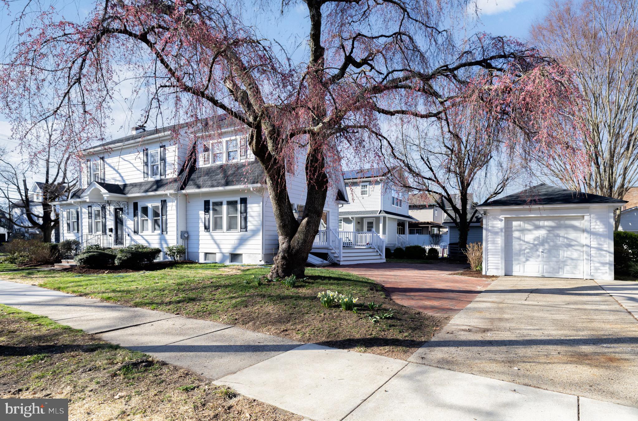 131 Marne Avenue Haddonfield, NJ 08033 - Photo 4 of 33 a view of a trees in front of a building