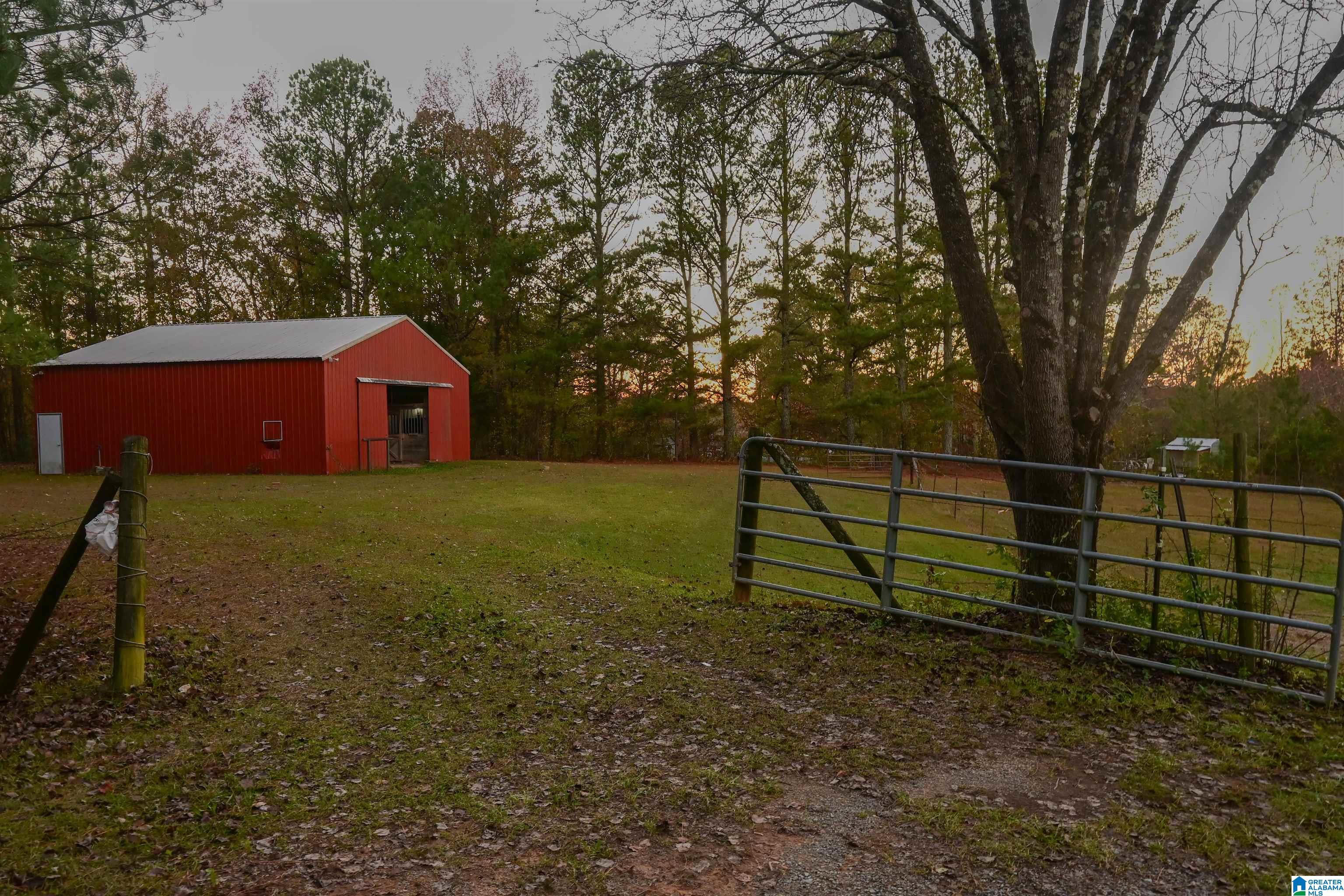 1292 Robin Hill Road Oneonta, AL 35121 - Photo 9 of 43