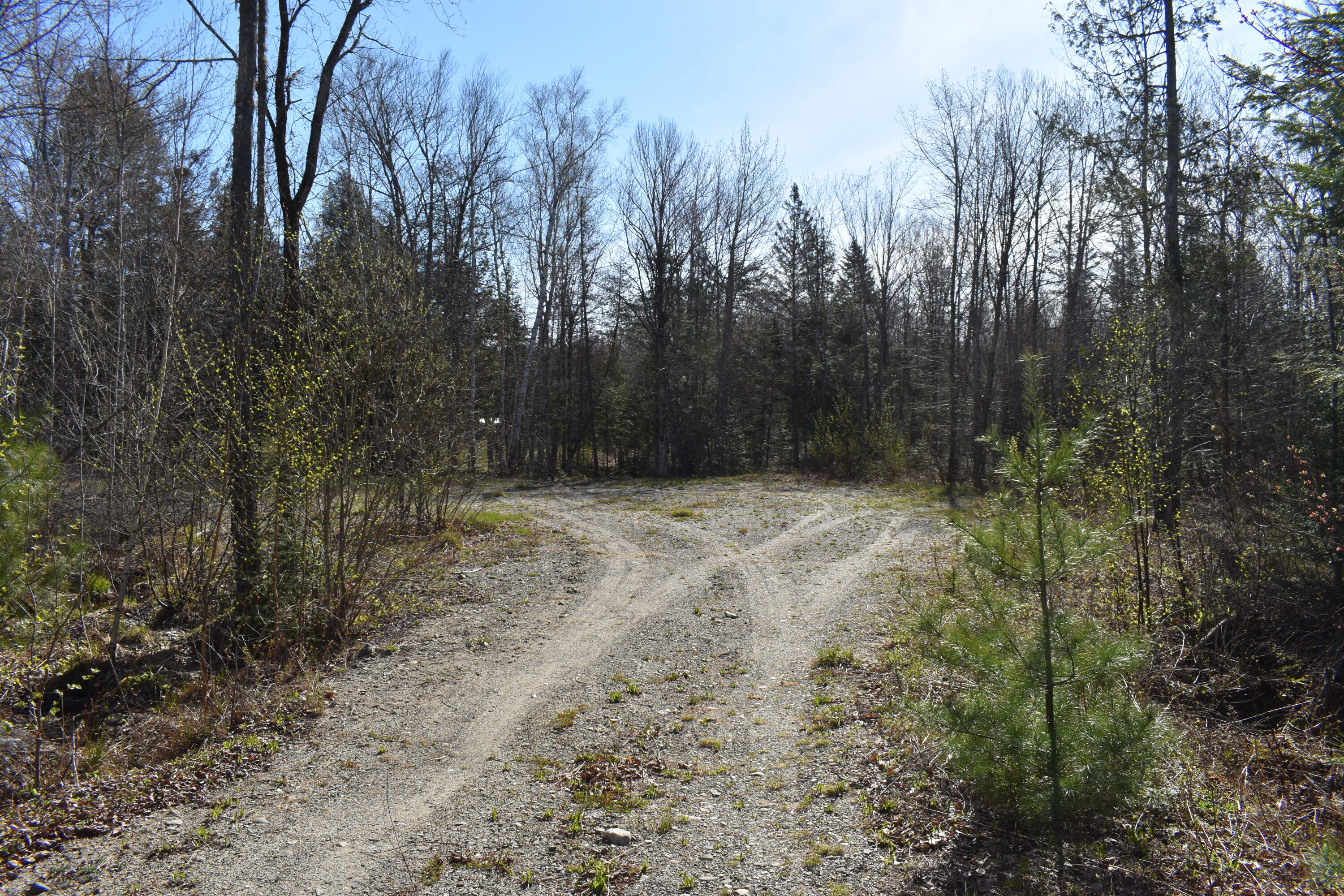 15 Loop Road Lincoln, ME 04457 - Photo 36 of 51 DSC_0122
