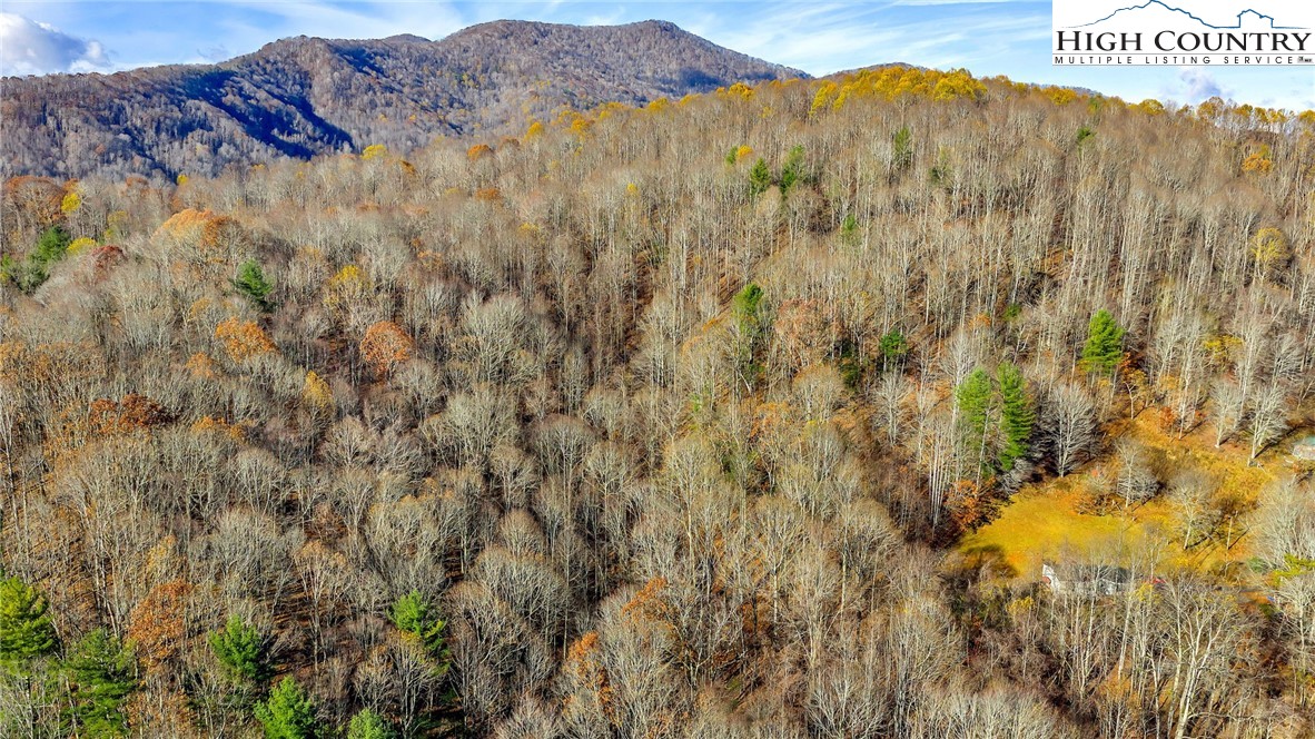 1451 Elliott Road West Jefferson, NC 28694 - Photo 24 of 33 a view of a dry yard with mountains in the background