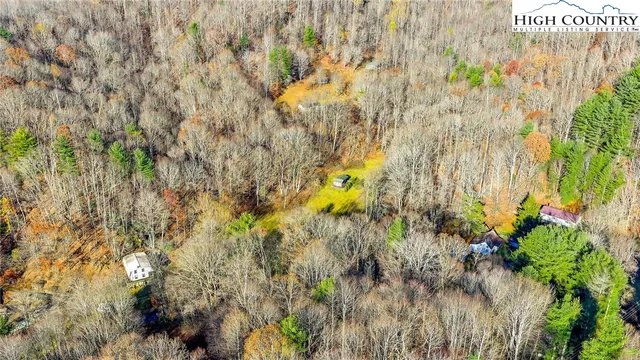 a view of a bunch of trees and bushes