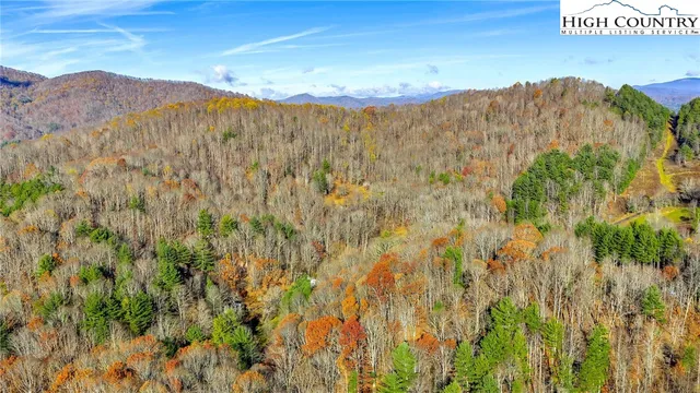 a view of a dry yard with trees