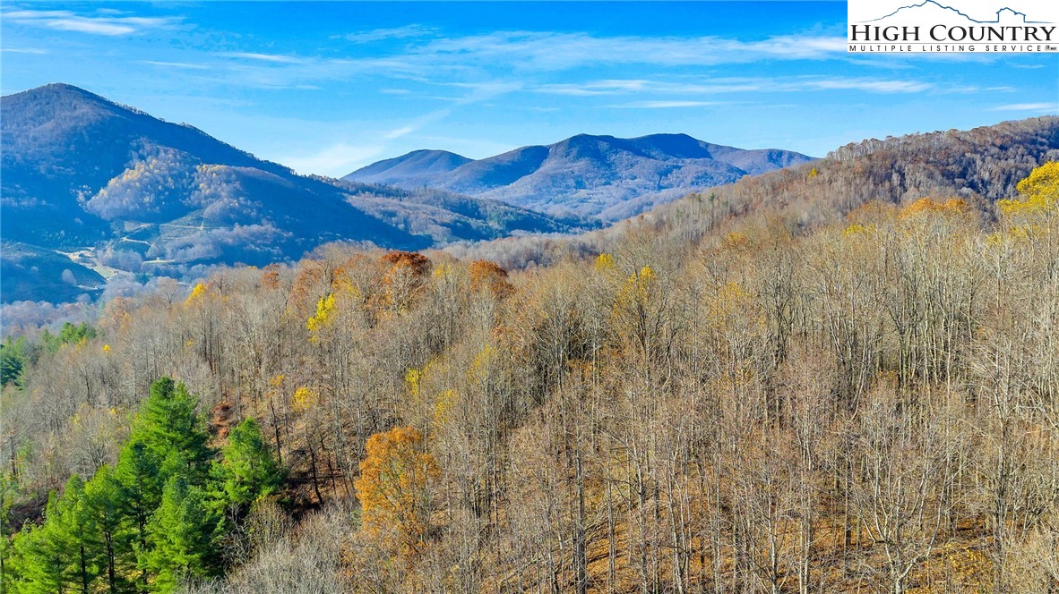 1451 Elliott Road West Jefferson, NC 28694 - Photo 28 of 33 a view of a lake with a mountain