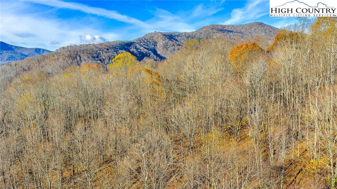 1451 Elliott Road West Jefferson, NC 28694 - Photo 29 of 33